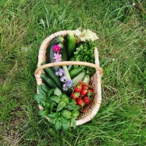 Légumes & Fruits